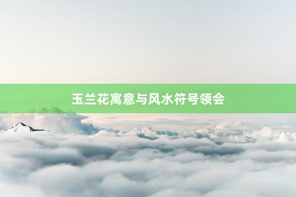 玉兰花寓意与风水符号领会